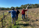 En marxa un pla pilot per obtenir dades sobre l’estat hídric de la vinya i millorar la seva gestió davant els efectes del canvi climàtic