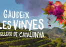 Gaudeix de les vinyes i els cellers de Catalunya