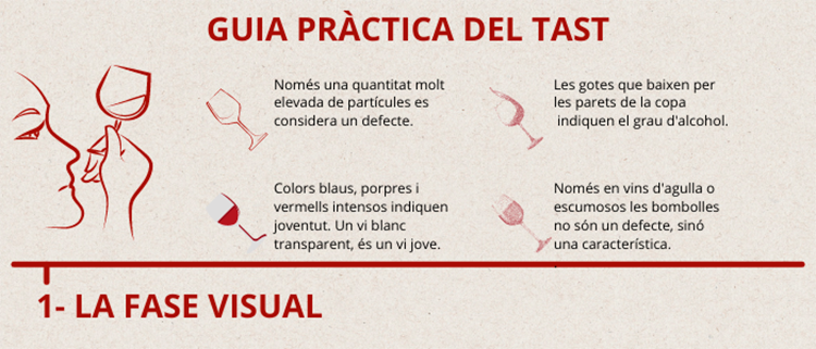 Guia pràctica del tast. La fase visual