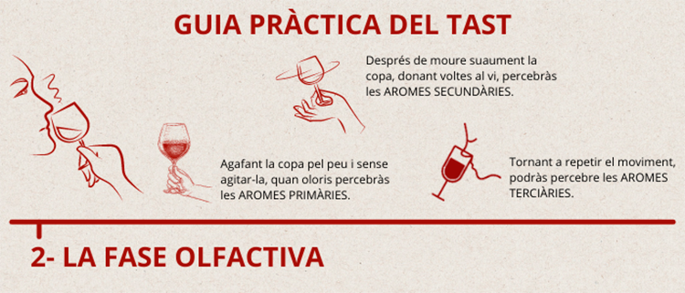 Guia pràctica del tast. La fase olfactiva
