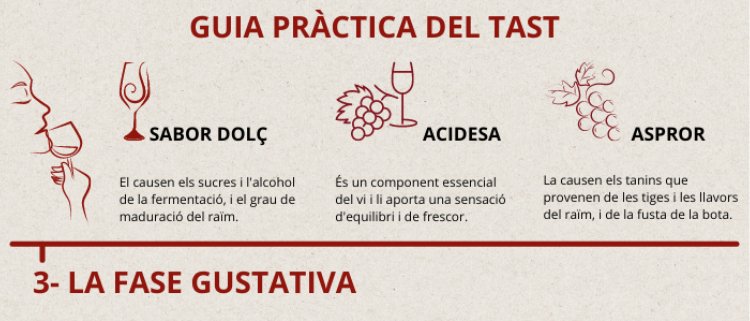 Guia pràctica del tast. 3. La fase gustativa