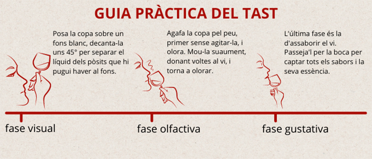 Guia pràctica del tast