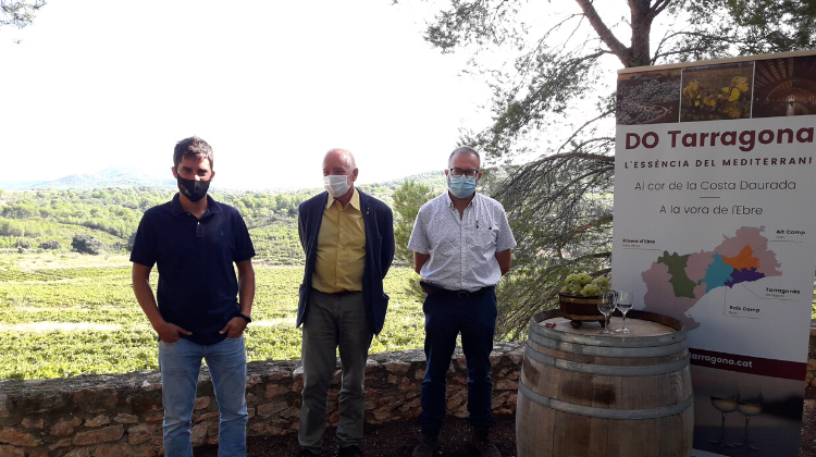 macabeu do tarragona