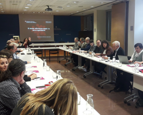 Consell Assessor INCAVI 2019