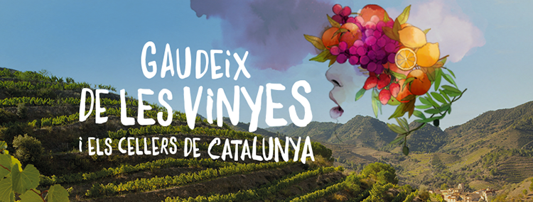Gaudeix de les vinyes i els cellers de Catalunya