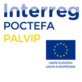 Logotip del projecte PALVIP